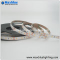 DC12V IP65 Impermeável Samsung / Lumenmax 5630 SMD LED Strip